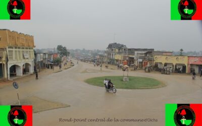 RDC : « On nous chasse de nos villages, de nos champs, et nos villes deviennent des prisons », l&rsquo;alerte de Ubuntu Panafrika face à une urbanisation née de la guerre à l’Est