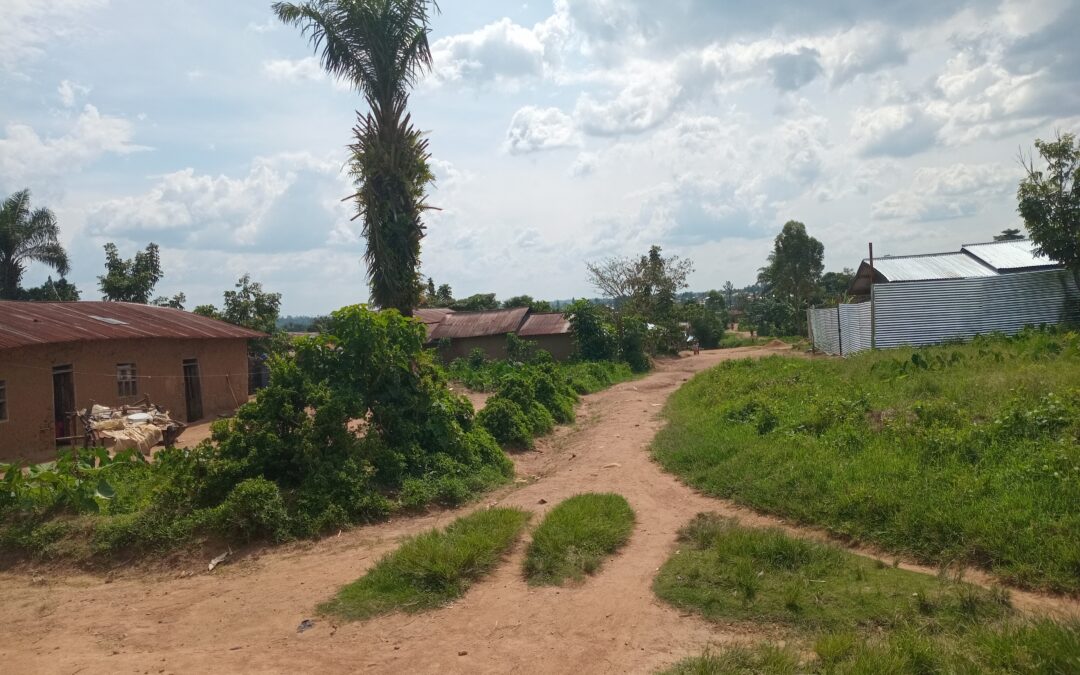 Beni : Oïcha sauvée, les FARDC effacent la peur laissée par les ADF et redonnent vie à la communauté, des zones rouges deviennent zones de vie (Tribune)