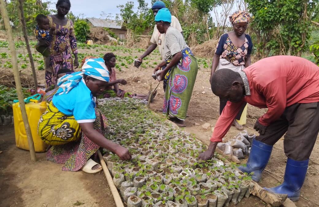 Beni : IDAD, une ONG pour la transformation de l’agriculture pour un avenir durable