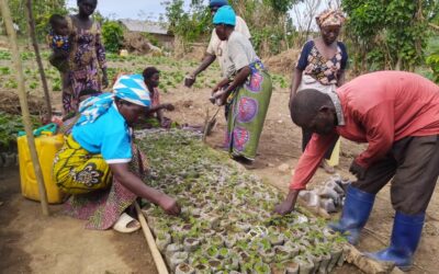 Beni : IDAD, une ONG pour la transformation de l’agriculture pour un avenir durable