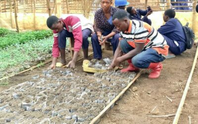 Beni – Baswagha Madiwe : l’IDAD forme les jeunes aux métiers agricoles et à l’agroforesterie durable à Irango