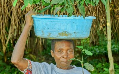 Beni : Des femmes leaders au cœur de la reforestation communautaire à Mabalako et Kalunguta grâce à l’ONG IDAD