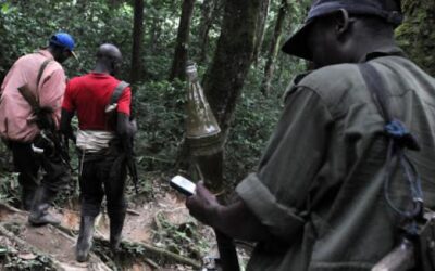 Beni : la société civile d’Oicha salue les opérations FARDC-UPDF mais appelle à plus de transparence sur l’identification des personnes neutralisées