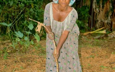 Beni : à Mabalako et Kalunguta, l’ONG IDAD sécurise 300 champs agroforestiers et renforce l’autonomisation de la femme