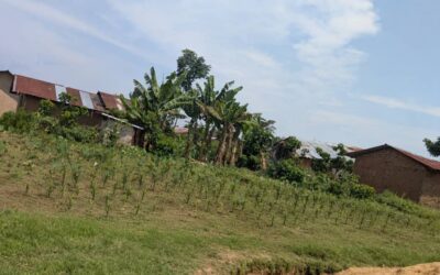Oïcha : incursion des ADF au nord de la ville, des jeunes opposent une résistance et mettent les assaillants en fuite ; trois enfants enlevés et les FARDC renforcées dans les coins